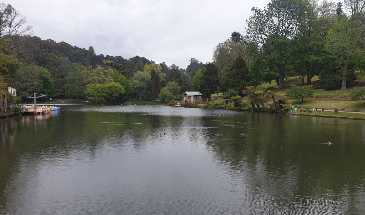 Dandenong Ranges Trip: Unlock a Blissful Hidden Retreat
