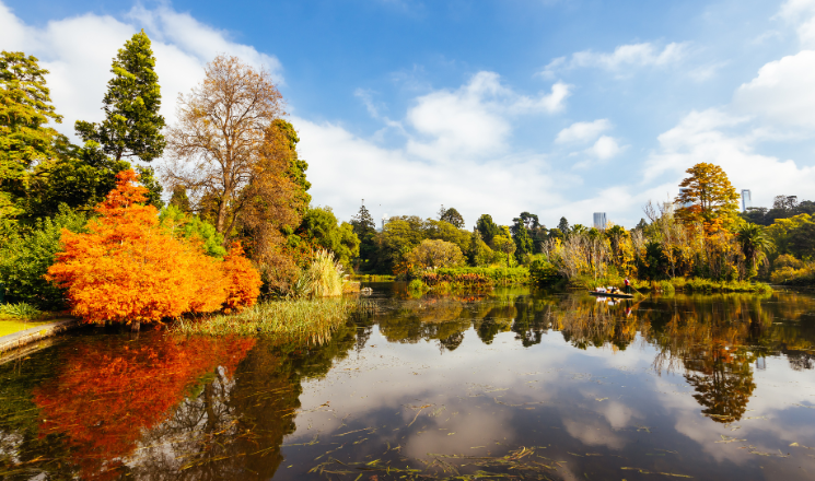 Immerse Yourself in Melbourne’s Autumn Garden Magic