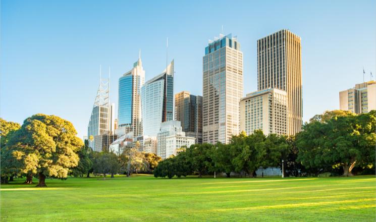Escape Into Wild Sydney Nature Walks Now