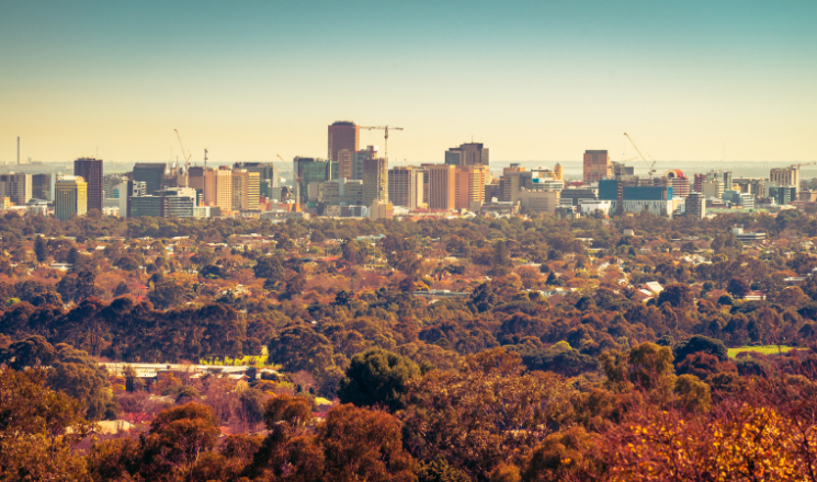 Hidden Adelaide Midweek Spots You’ll Love
